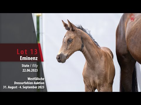 Dressurfohlen-Auktion Lot 13 Eminenz Stute v. Escamillo - Secret