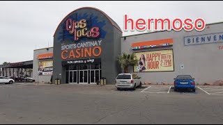 Ojos Locos Sports Cantina and Casino, wow