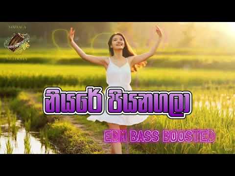 Niyare Piyanagala - Saman De Silva - EDM BASS BOOSTED Remake by @sinhalamelodies 