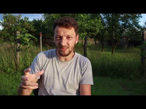 Tăiat și arunca afară (Ioan 15:6) | Tălmăciri Ep.31