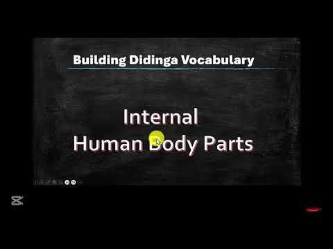 Building Didinga Vocabulary - Internal Human Parts