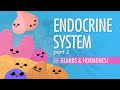 Endocrine System, Part 1 - Glands & Hormones: Crash Course Anatomy & Physiology #23