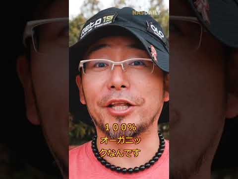 Nuvola アプリの教育言語.svg