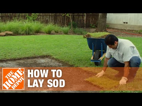 Laying Sod & How to Prepare Soil For Sod | The Home Depot