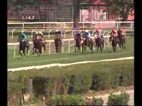 Premio Mario Perretti 2014 (LISTED RACE)