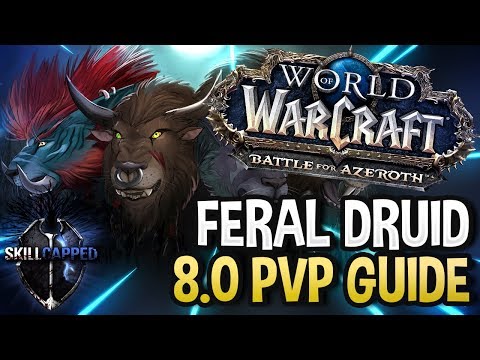 GET STARTED: Feral Druid BfA 8.0 PvP Talents, Azerite Traits and Damage Guide