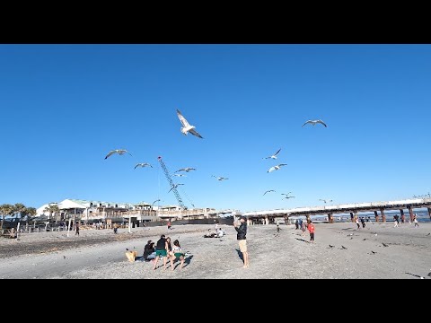 4K FOLLY BEACH FOLLY ISLAND DRIVE AND WALK SOUTH CAROLINA