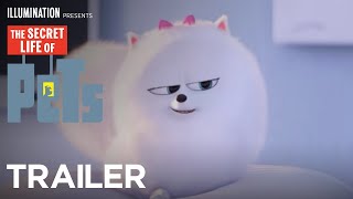 The Secret Life of Pets (2016) Video