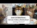 June Cat Fun: Summer's Feral Friend, Paris Hilton Pet Fashion, and a Cat Variety Show!