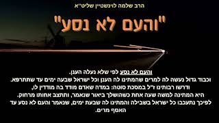 ''והעם לא נסע'' - הרב שלמה לוינשטיין שליט''א (פרשת בהעלותך) (הרב שלמה לוינשטיין) - התמונה מוצגת ישירות מתוך אתר האינטרנט יוטיוב. זכויות היוצרים בתמונה שייכות ליוצרה. קישור קרדיט למקור התוכן נמצא בתוך דף הסרטון ''והעם לא נסע'' - הרב שלמה לוינשטיין שליט''א (פרשת בהעלותך) (הרב שלמה לוינשטיין) - התמונה מוצגת ישירות מתוך אתר האינטרנט יוטיוב. זכויות היוצרים בתמונה שייכות ליוצרה. קישור קרדיט למקור התוכן נמצא בתוך דף הסרטון