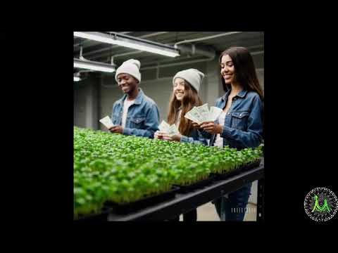 Microgreens workshop india