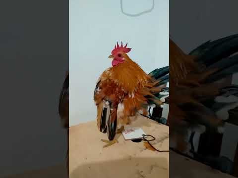 Recuerdo! este salió rumbo a Ezeiza, Buenos Aires, Argentina.