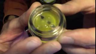 Apothecary Extracts- GG#4 Ambrosia= HUGE WEED CRYSTALS