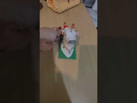 Product Video