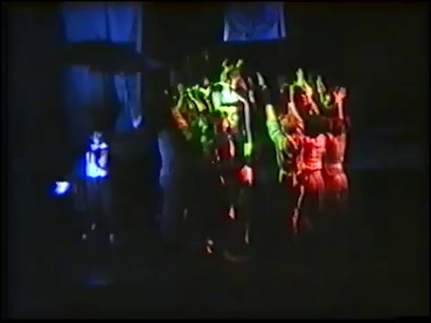 Macskák  - Kismacskák