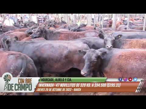 Resumen del Remate de Hourcade, Albelo y Cía. - Jueves 20 de octubre de 2022 - Rauch