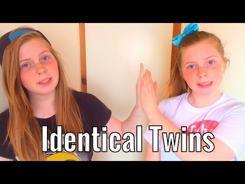 Identical Twins [REMAKE]
