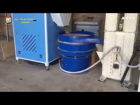 Livorno, maxi operazione antifrode e sequestri per oltre...