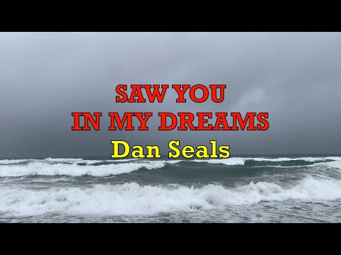 Saw You In My Dreams - Dan Seals | Lyrics