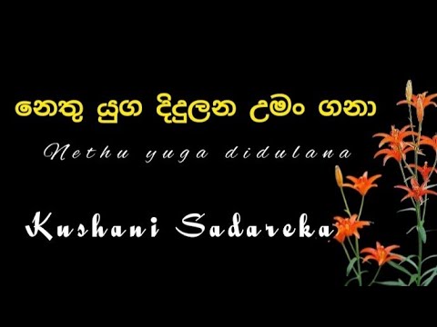 නෙතු යුග දිදුලන_Nethu yuga didulana | Kushani Sadareka |#sadarenumusicchannel