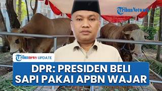 DPR Sebut Prabowo Beli 1.098 Ekor Sapi Pakai Dana APBN dengan Total Rp 100 Miliar Hal yang Wajar
