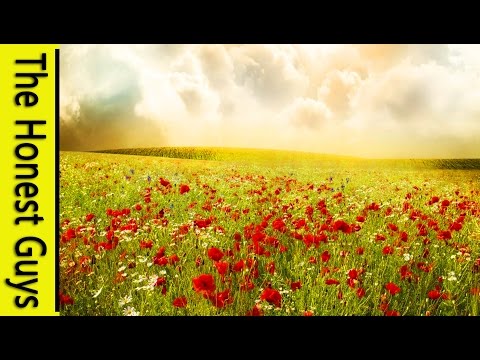 3 HOURS OF RELAXATION - "The Monastery Garden" Relaxing Audio