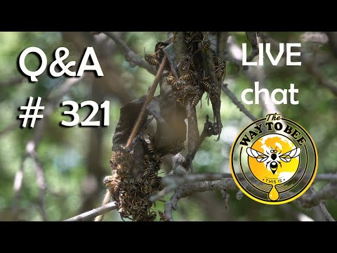 Backyard Beekeeping Questions and Answers Episode 321 (Recorded LIVE on 8/29/2025)