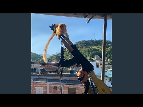 MEGA DE BANDIDO 08 (feat. MC DANK LK)