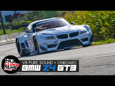 V8 BMW Z4 GT3 - Jörg Weidinger  | Hill Climb St. Agatha 2021