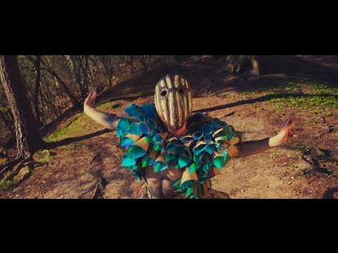 Into the Woods Festival 2017 | Trailer