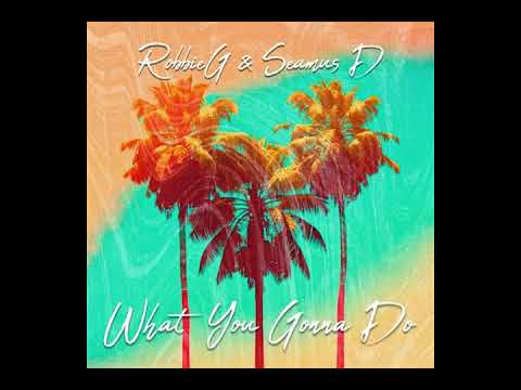 RobbieG & Seamus D - What You Gonna Do