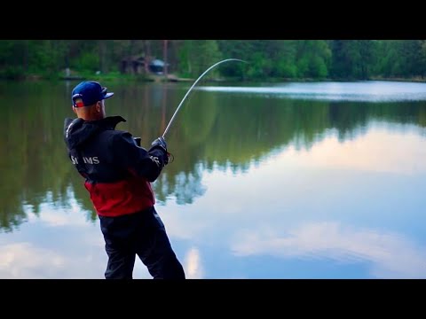 Та ты шо поклевка! Это она - рыба мечты! Рыбалка на лесном озере!