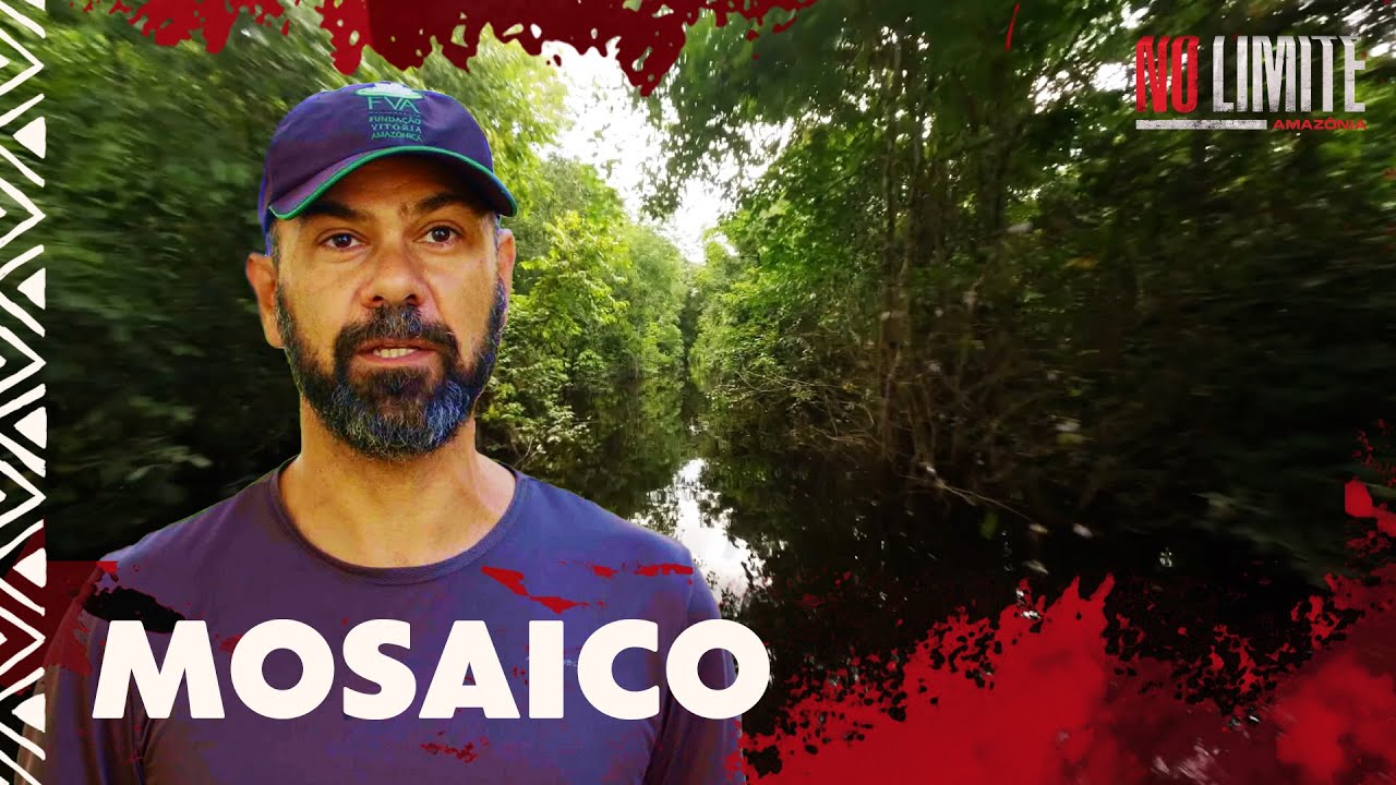 Conheça o Mosaico do Baixo Rio Negro | No Limite Amazônia