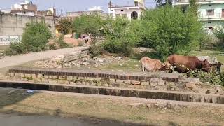  Residential Plot for Sale in Adarsh Nagar Nai Basti, Satna