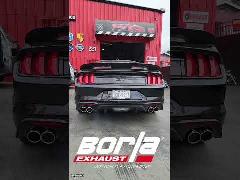 2022 Ford Mustang Gt with Borla attack catback exhaust system "⚠️ Earphone Warning!! ⚠️"