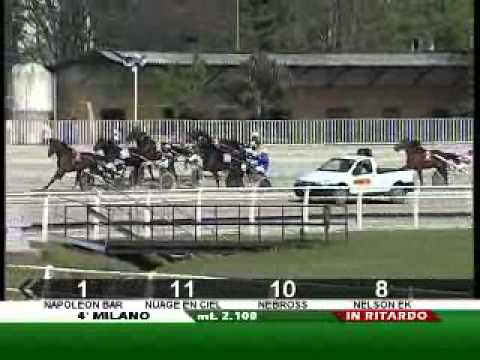 Premio Veneto 2010 -Napoleon Bar