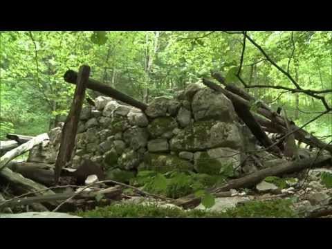 Raport o Velké válce - Jako lvi (4/12)