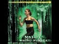 Matrix Wrong Number 2006