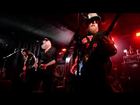 Jaya the cat@belfast