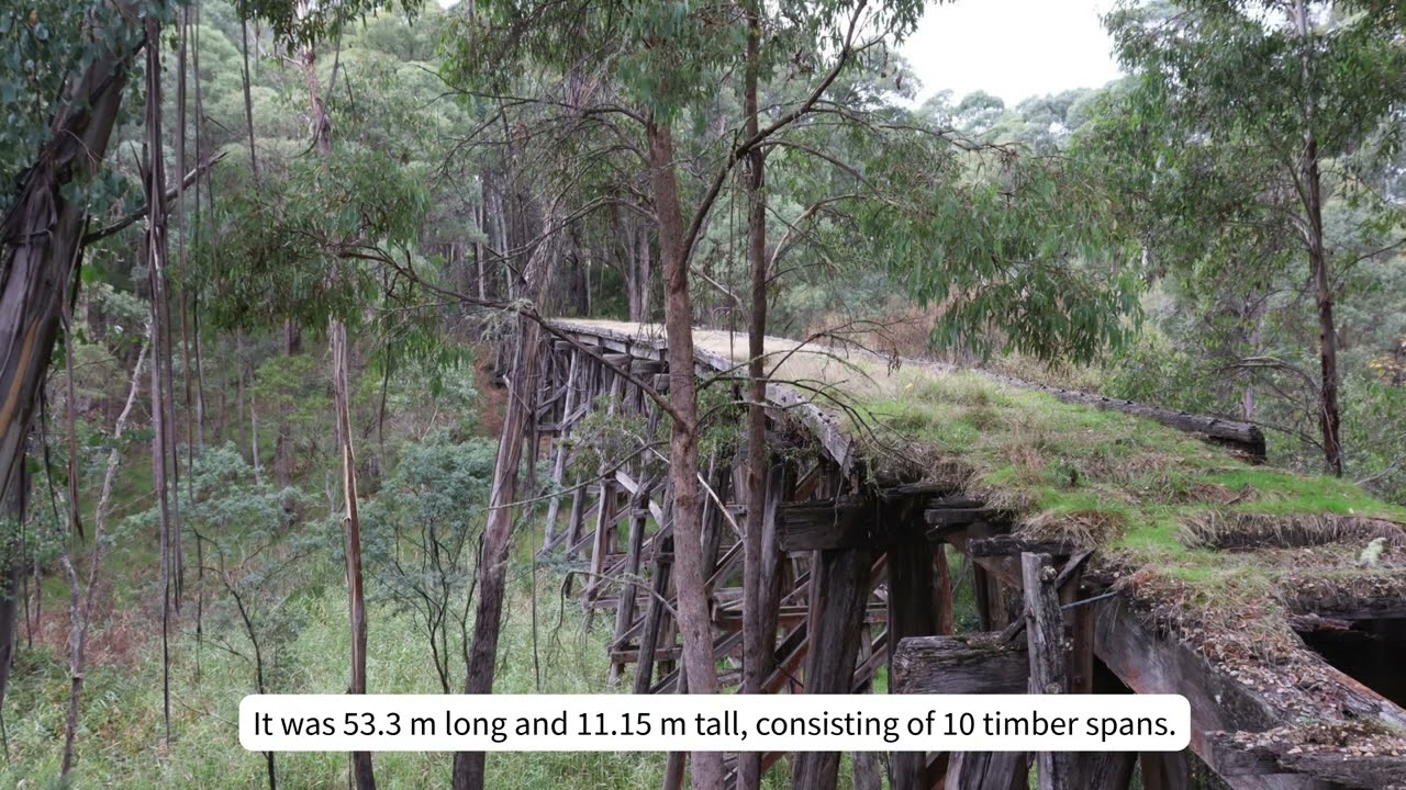 Boundary Creek East, Shelley