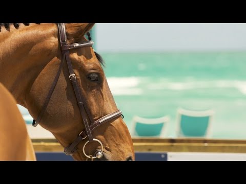 Behind the scenes at LGCT Miami Beach