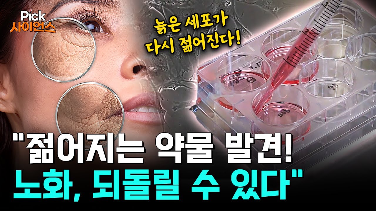 노화의 개념을 새롭게 정의하다, 30년 연구 권위자 박상철 박사