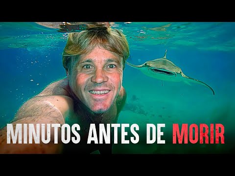 El verdadero error que mató al cazador de cocodrilos