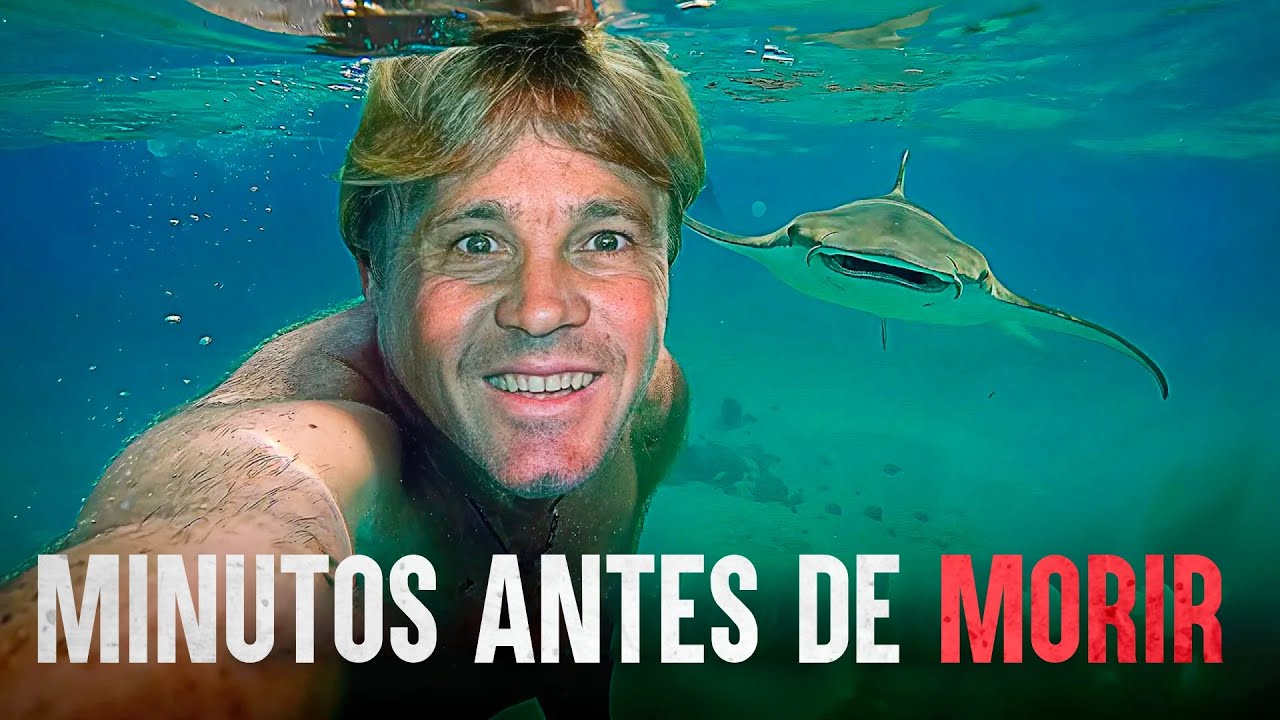 The real mistake that killed the Crocodile Hunter