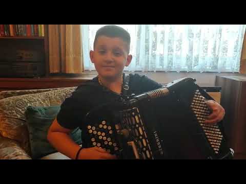 Aca Lazic - Sve je ljubav ❤️❤️❤️ (Zorica Brunclik)