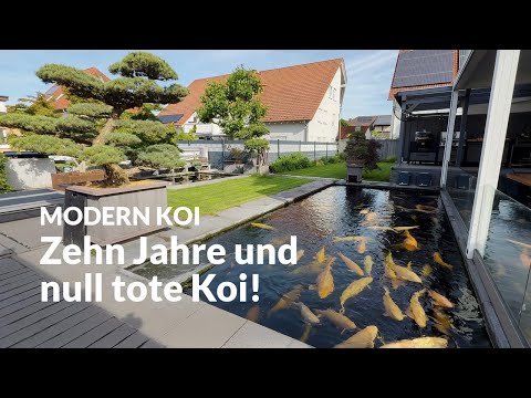 Oliver Roggisch's 35,000-liter pond | Modern Koi Blog #7553