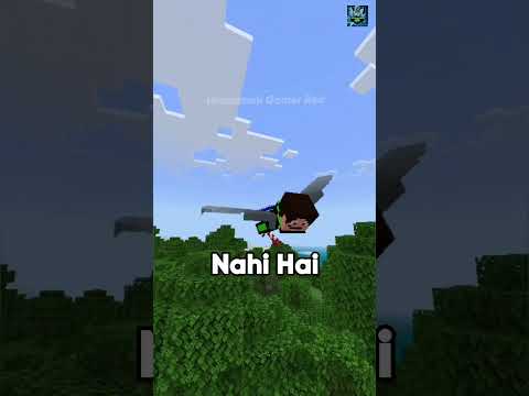 Exclusive Minecraft RARE loot revealed by HINDUSTANI GAMER