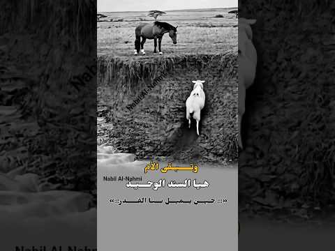 وتبقى الأم هيا السند الوحيد حين يميل بنا القدر #اكسبلور #لايك 🥺💚👍