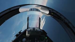 DCS World M-2000C vs F-14 B Dogfight