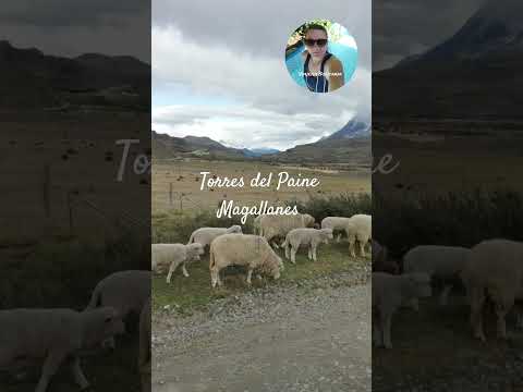 Torres del Paine y la cueva del milodon